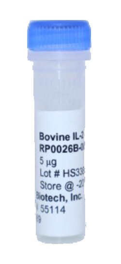 Kingfisher Biotech Inc Bovine IL-2 Recombinant Protein (Yeast, Endotoxin