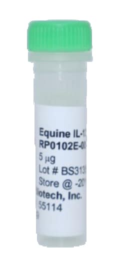 Kingfisher Biotech Inc Equine IL-13 Recombinant Protein (Yeast, Endotoxin
