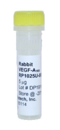 Kingfisher Biotech Inc Rabbit VEGF-A 165 aa Recombinant Protein (Yeast,