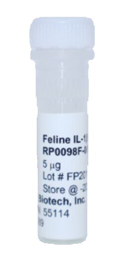 Kingfisher Biotech Inc Feline IL-1 beta Recombinant Protein (Yeast, Endotoxin
