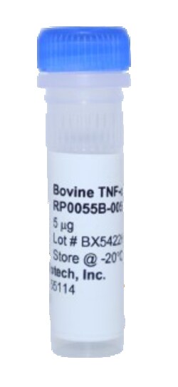 Kingfisher Biotech Inc Bovine TNF alpha Recombinant Protein (Yeast, Endotoxin
