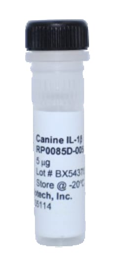 Kingfisher Biotech Inc Canine IL-1 beta Recombinant Protein (Yeast, Endotoxin