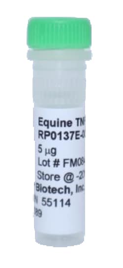Kingfisher Biotech Inc Equine TNF alpha Recombinant Protein (Yeast, Endotoxin