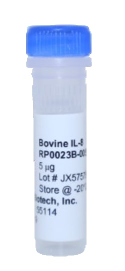 Kingfisher Biotech Inc Bovine IL-8 Recombinant Protein (Yeast, Endotoxin
