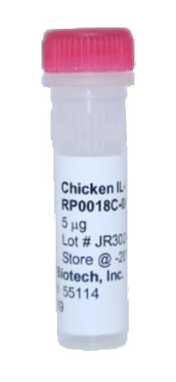 Kingfisher Biotech Inc Chicken IL-10 Recombinant Protein (Yeast, Endotoxin