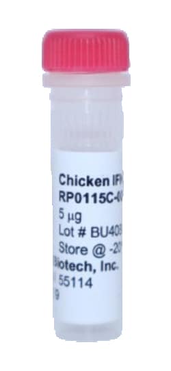 Kingfisher Biotech Inc Chicken IFN gamma Recombinant Protein (Yeast, Endotoxin