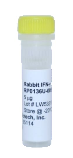 Kingfisher Biotech Inc Rabbit IFN gamma Recombinant Protein (Yeast, Endotoxin