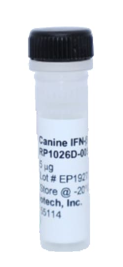 Kingfisher Biotech Inc Canine IFN beta 1 Recombinant Protein (Yeast, Endotoxin