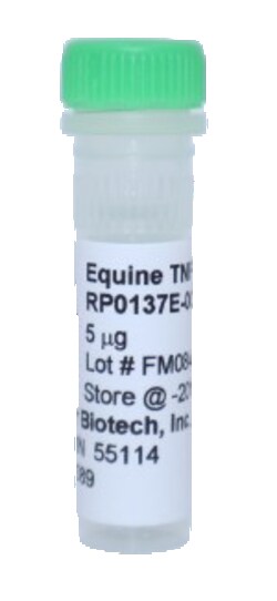 Kingfisher Biotech Inc Equine TNF alpha Recombinant Protein (Yeast, Endotoxin