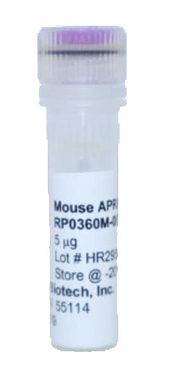 Kingfisher Biotech Inc Mouse APRIL Recombinant Protein (Yeast, Endotoxin