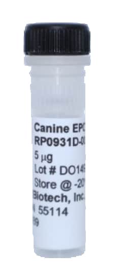 Kingfisher Biotech Inc Canine Erythropoietin Recombinant Protein (Yeast,
