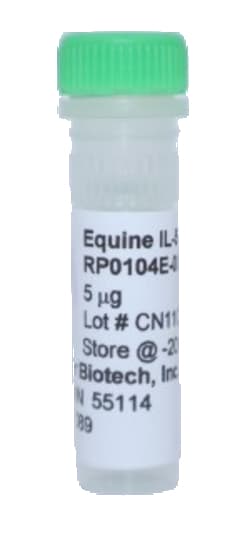 Kingfisher Biotech Inc Equine IL-5 Recombinant Protein (Yeast, Endotoxin