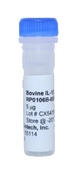 Kingfisher Biotech Inc Bovine IL-1 beta Recombinant Protein (Yeast, Endotoxin