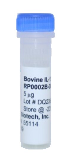 Kingfisher Biotech Inc Bovine IL-13 Recombinant Protein (Yeast, Endotoxin