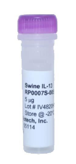 Kingfisher Biotech Inc Swine IL-13 Recombinant Protein (Yeast, Endotoxin