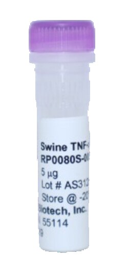 Kingfisher Biotech Inc Swine TNF alpha Recombinant Protein (Yeast, Endotoxin