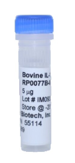 Kingfisher Biotech Inc Bovine IL-12 p40 Recombinant Protein (Yeast, Endotoxin