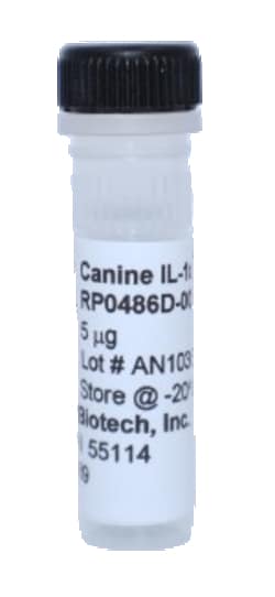 Kingfisher Biotech Inc Canine IL-1 alpha Recombinant Protein (Yeast, Endotoxin