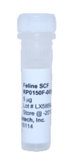 Kingfisher Biotech Inc Feline SCF Recombinant Protein (Yeast, Endotoxin