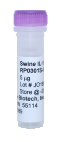 Kingfisher Biotech Inc Swine IL-10 Recombinant Protein (Yeast, Endotoxin