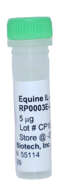 Kingfisher Biotech Inc&nbsp;Equine IL-4 Recombinant Protein (Yeast, Endotoxin - Free) - 5 ug