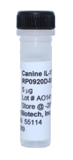 Kingfisher Biotech Inc Canine IL-17A Recombinant Protein (Yeast, Endotoxin