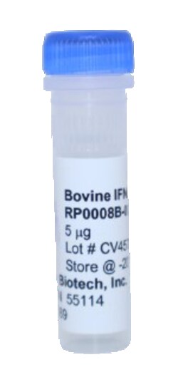Kingfisher Biotech Inc Bovine IFN alpha A Recombinant Protein (Yeast, Endotoxin