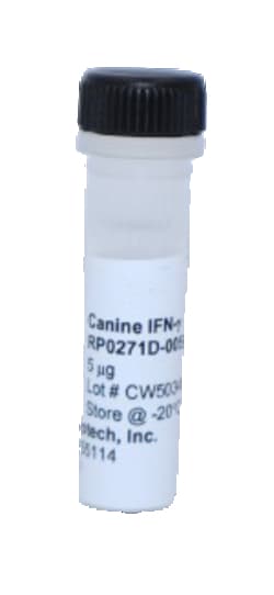 Kingfisher Biotech Inc Canine IFN gamma Recombinant Protein (Yeast, Endotoxin