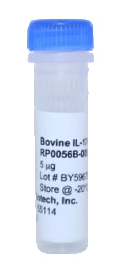 Kingfisher Biotech Inc Bovine IL-17A Recombinant Protein (Yeast, Endotoxin
