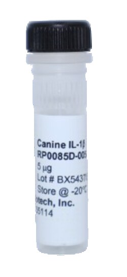 Kingfisher Biotech Inc Canine IL-1 beta Recombinant Protein (Yeast, Endotoxin