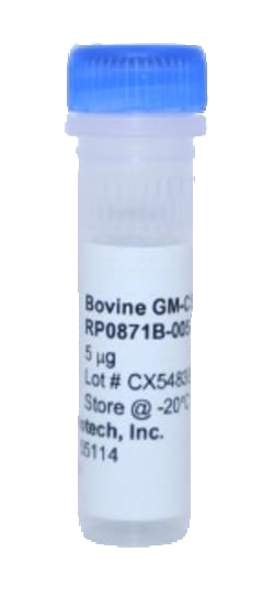 Kingfisher Biotech Inc Bovine GM-CSF Recombinant Protein (Yeast, Endotoxin