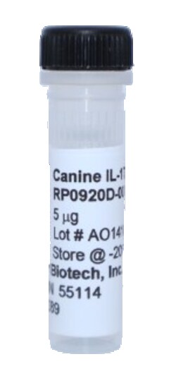 Kingfisher Biotech Inc Canine IL-17A Recombinant Protein (Yeast, Endotoxin