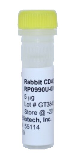 Kingfisher Biotech Inc Rabbit CD40 Ligand Recombinant Protein (Yeast, Endotoxin