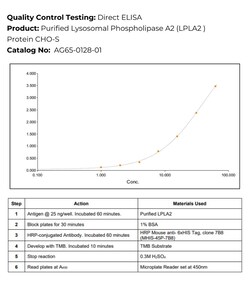 Immunology Consultants Recombinant Hamster (CHO) Lysosomal Phospholipase
