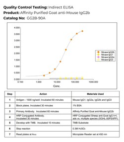 Immunology Consultants Affinity Purified Goat anti-Mouse IgG2b Antibody,