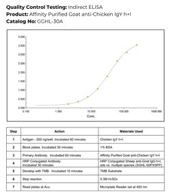 Immunology Consultants Affinity Purified Goat anti-Chicken IgY H+L Antibody,