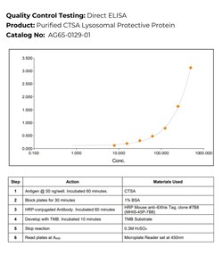 Immunology Consultants Recombinant Hamster (CHO) Lysosomal Protective Protein,
