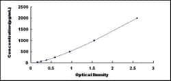 Biomatik Corporation Human Cyclin Dependent Kinase 16 (CDK16) ELISA Kit,