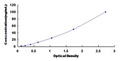 Biomatik Corporation Human N-Acetyltransferase 1 (NAT1) ELISA Kit, Quantity: