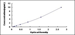 Biomatik Corporation Mouse Phosphoinositide-3-Kinase Class-2-Alpha Polypeptide