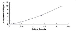 Biomatik Corporation Human Cyclin Dependent Kinase Inhibitor 1A (CDKN1A)