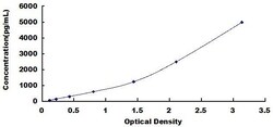 Biomatik Corporation Human Interferon Inducible Protein 35 (IFI35) ELISA
