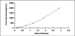 Biomatik Corporation Dog Bone Morphogenetic Protein 4 (BMP4) ELISA Kit,