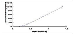 Biomatik Corporation Mouse Fibroblast Growth Factor 6 (FGF6) ELISA Kit,