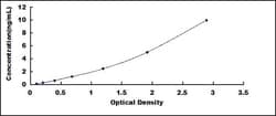 Biomatik Corporation Human Sialic Acid Binding Ig Like Lectin 7 (SIGLEC7)