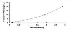 Biomatik Corporation Human Monoamine Oxidase A (MAOA) ELISA Kit, Quantity: