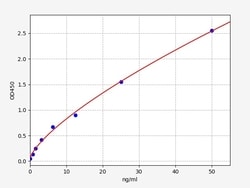 Biomatik Corporation Rat C4 (Complement Component 4) ELISA Kit, Quantity: