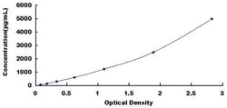 Biomatik Corporation Human Specificity Protein 1 (Sp1) High-sensitive ELISA