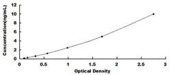 Biomatik Corporation Human Bridging Integrator 1 (BIN1) ELISA Kit, Quantity: