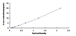 Biomatik Corporation Rat Fibromodulin (FMOD) ELISA Kit, Quantity: Each